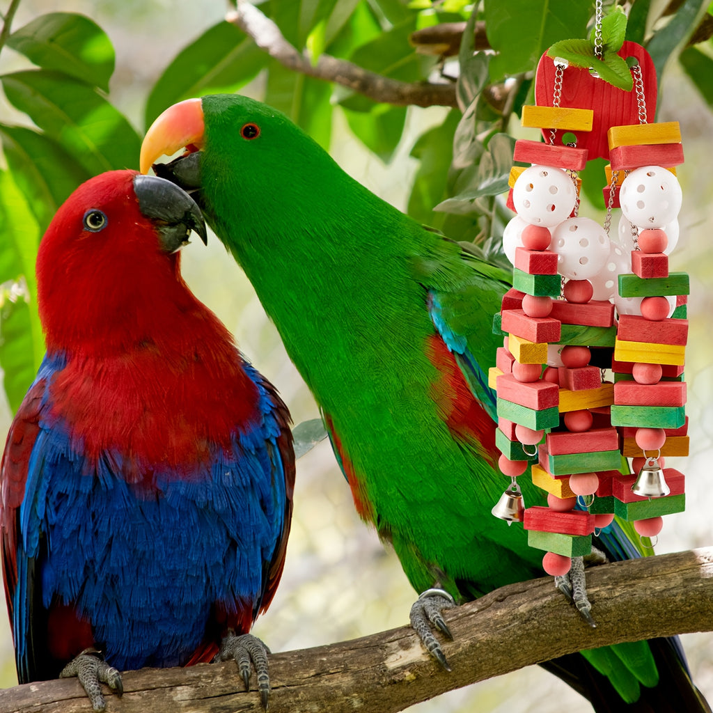 Large Parrot Chew Toys 3 Pack, Colorful Wooden Block and Ball Hanging Cage Toys for Macaws, Cockatoos and African Greys, CUNNO Bird Enrichment Set