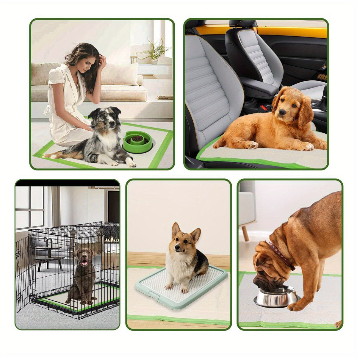 Jumbo Dog Pee Pads 28 x 34 Inch, Six-Layer Disposable Puppy Potty Training Pads with Absorbent Core and PE Backing, 50 or 100 Count Options