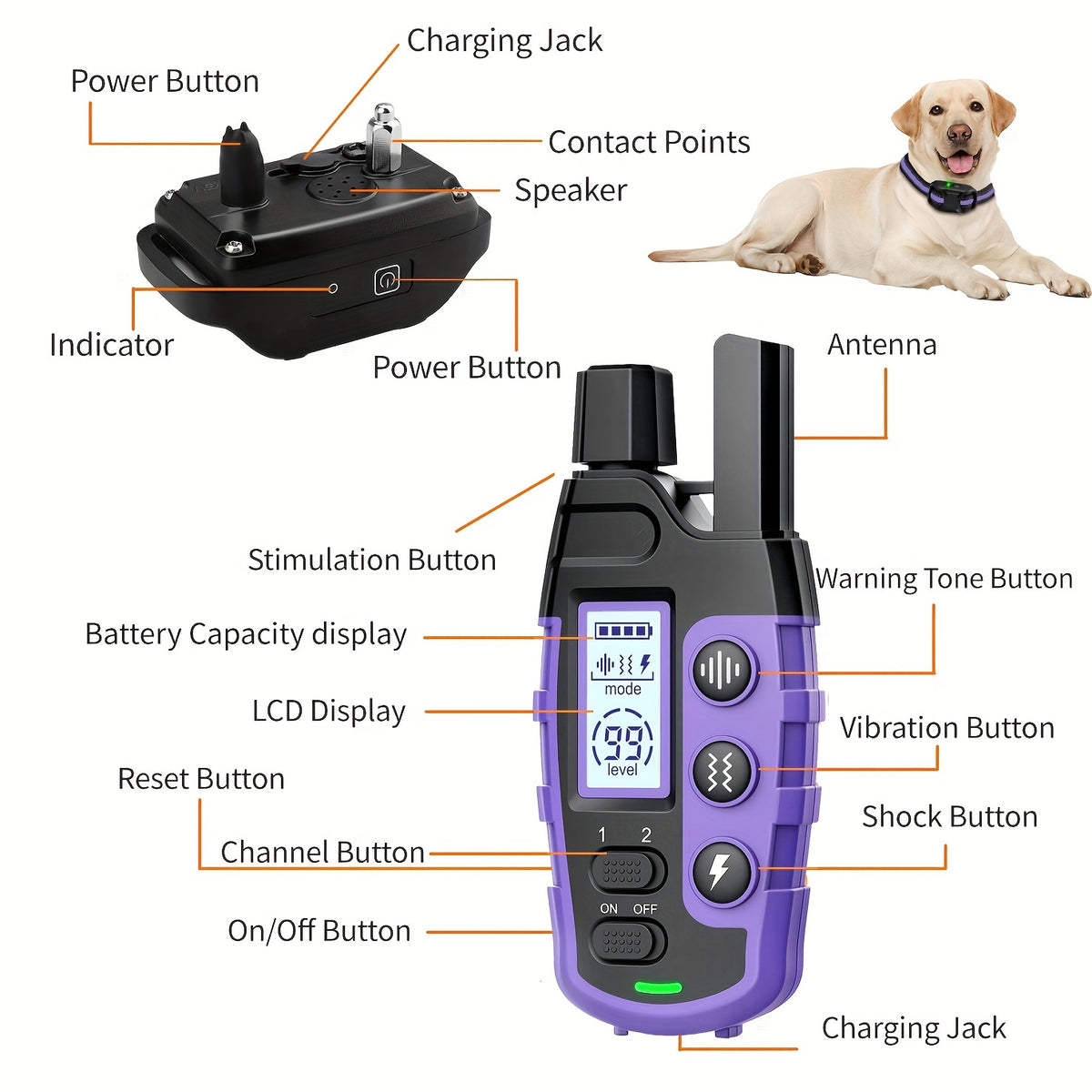 Dog Training Collars for 2 Dogs with Remote, Purple Rechargeable E Collar Set with Adjustable Nylon Straps, Beep, Vibration and Static Modes
