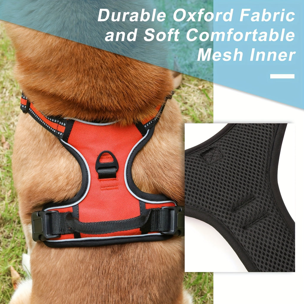 Dog Harness Set 3-in-1 with Reflective Walking Vest, Leash and Poop Bag Holder, Everyday Outdoor Walking Gear in Seven Colors with S to XL Size Options
