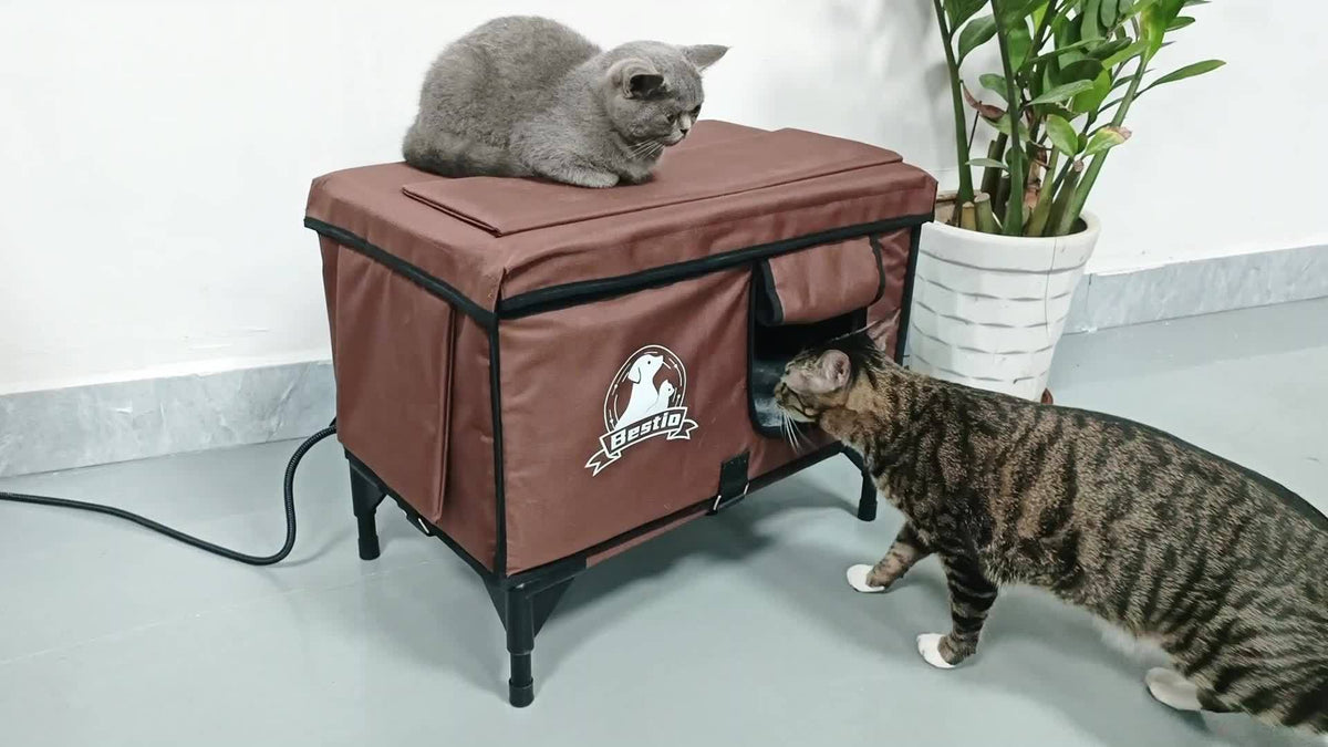 3-in-1 Heated Cat House with Detachable Heating Pad and Elevated Bed, Dual-Entry Cat Shelter in Brown, Camouflage and Roof Style Options
