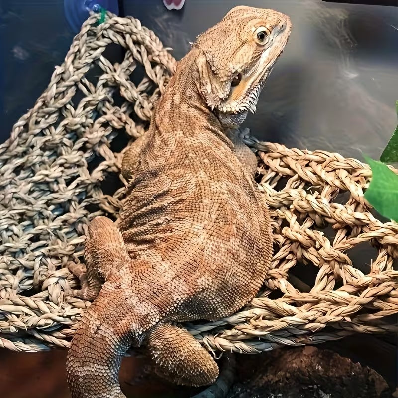 Bearded Dragon Tank Accessories 12 Piece Set with Woven Reptile Hammock, Artificial Plants, Leafy Vine and Suction Cups for Terrarium Decoration