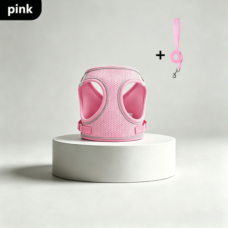Small Dog Harness and Leash Set, Lightweight Breathable Mesh Vest with Reflective Trim for Cats and Puppies, XS S L XL Walking Gear