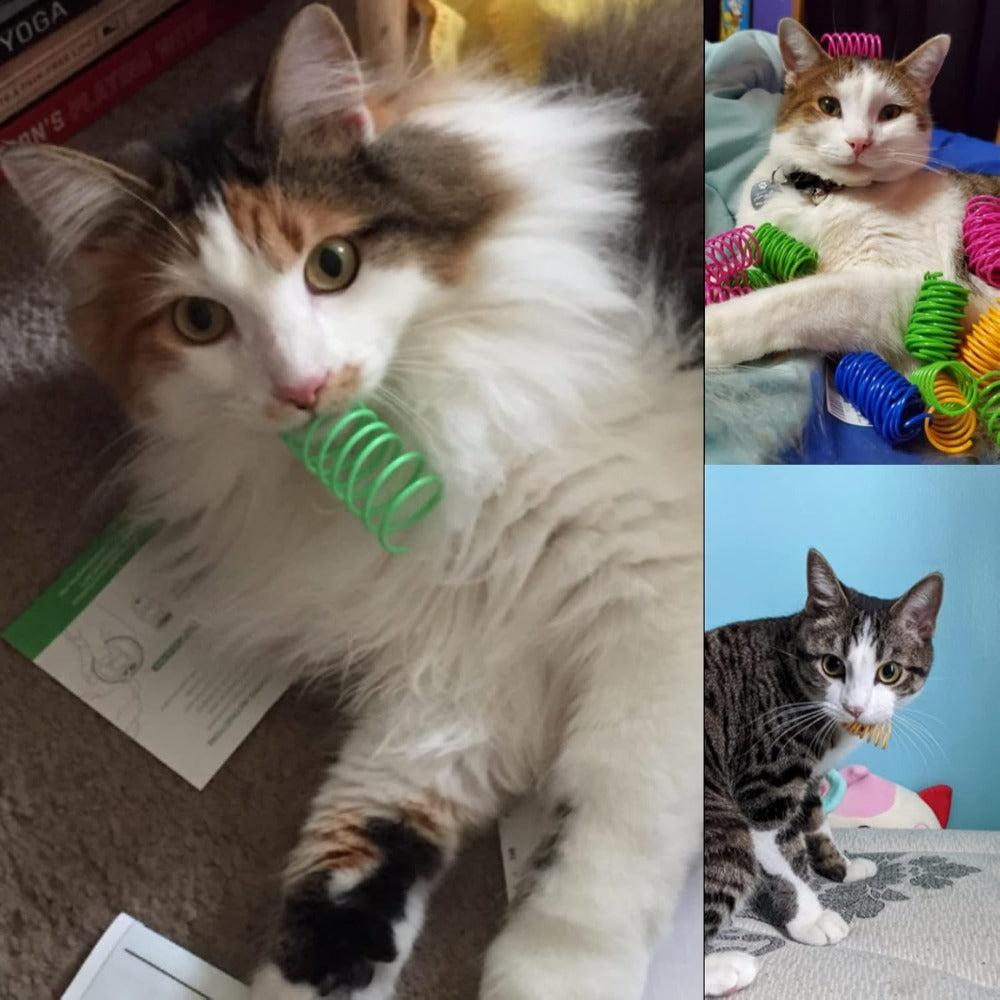 Cat Spring Toys 100 Pack for Indoor Cats and Kittens, Colorful Plastic Spiral Toys for Chasing, Batting and Supervised Interactive Play