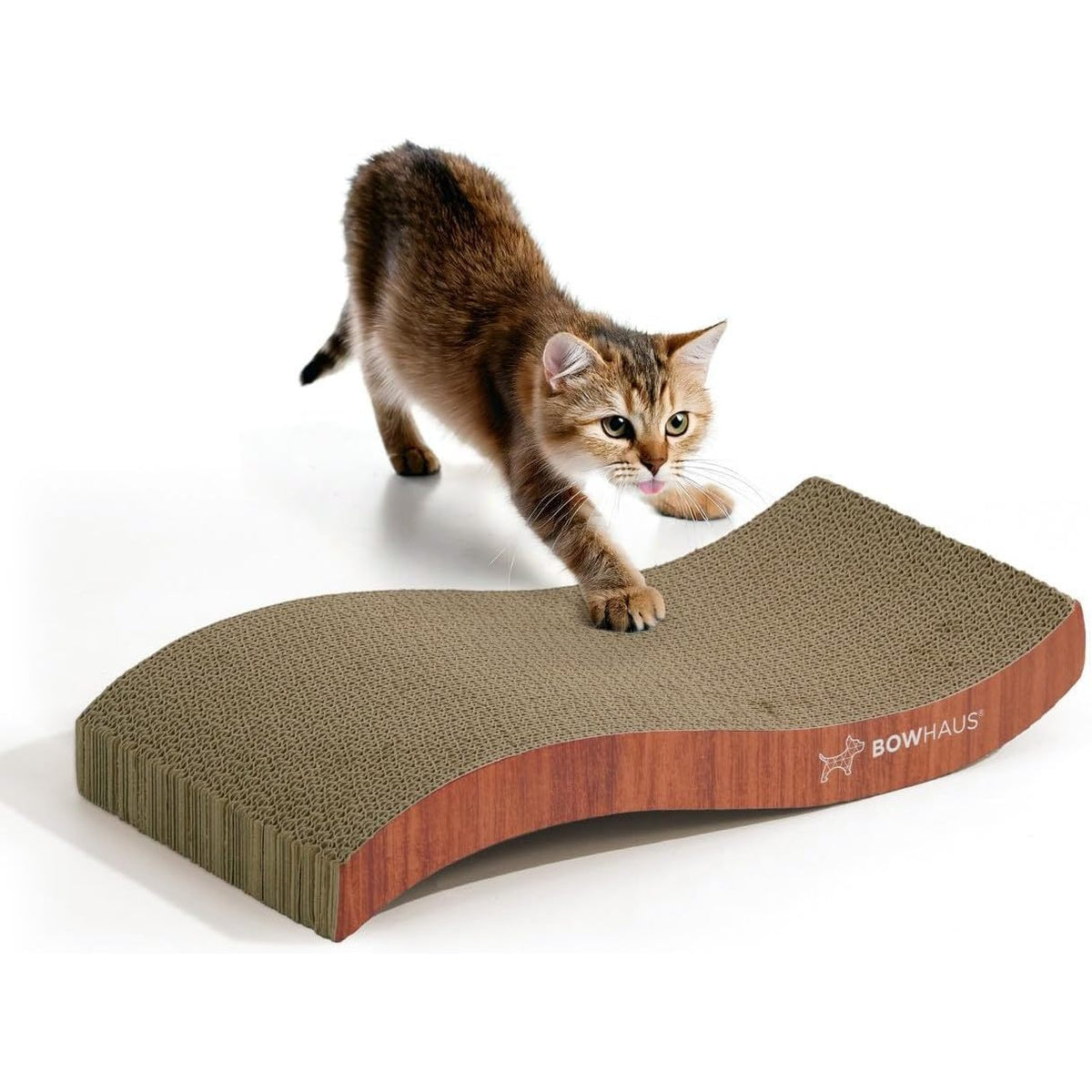 Reversible Cat Scratcher Lounger for Indoor Cats, Large Scratching Pad for Daily Stretching and Rest, Basic 8-Piece or Curved 1-Piece Options