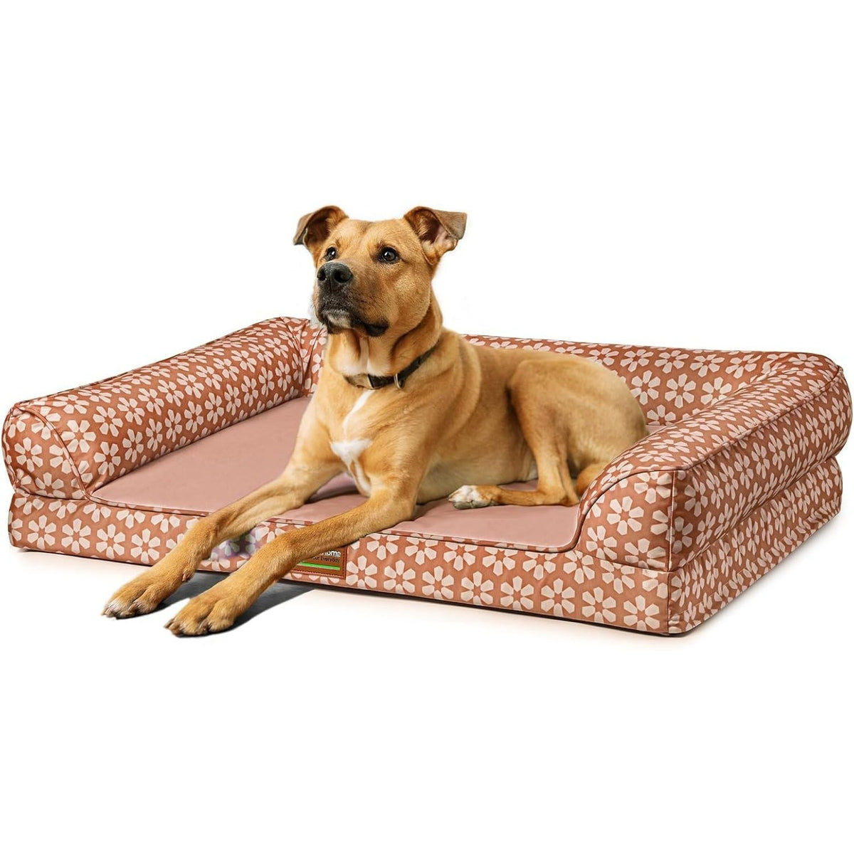 Dog Bed with Removable Bolsters, Egg Crate Foam Pet Sofa with Machine Washable Cover and Non-Slip Bottom, M L XL Sizes in Three Color Options
