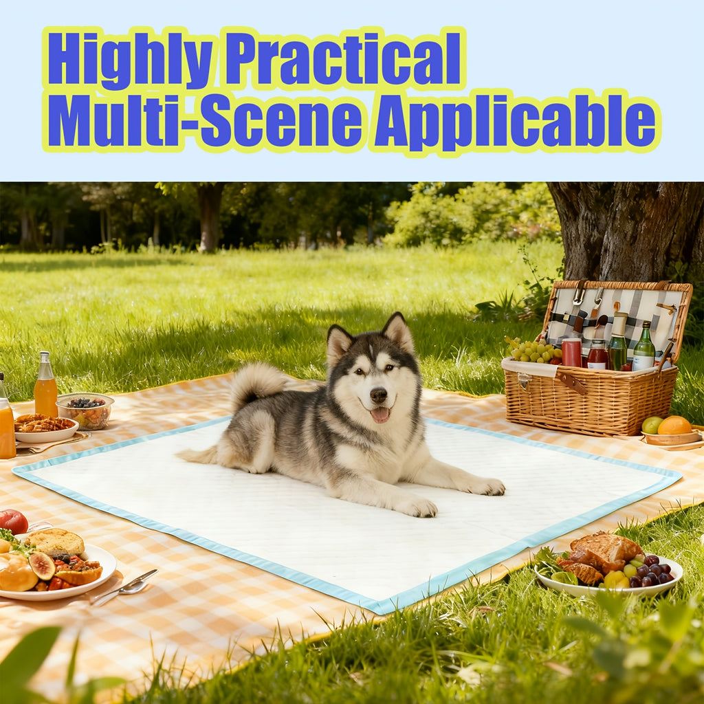 Dog Training Pads 36 x 55 Inch, 40 Count Super Absorbent Puppy Pee Pads with Oversized Coverage for Indoor Potty Training and Daily Cleanup