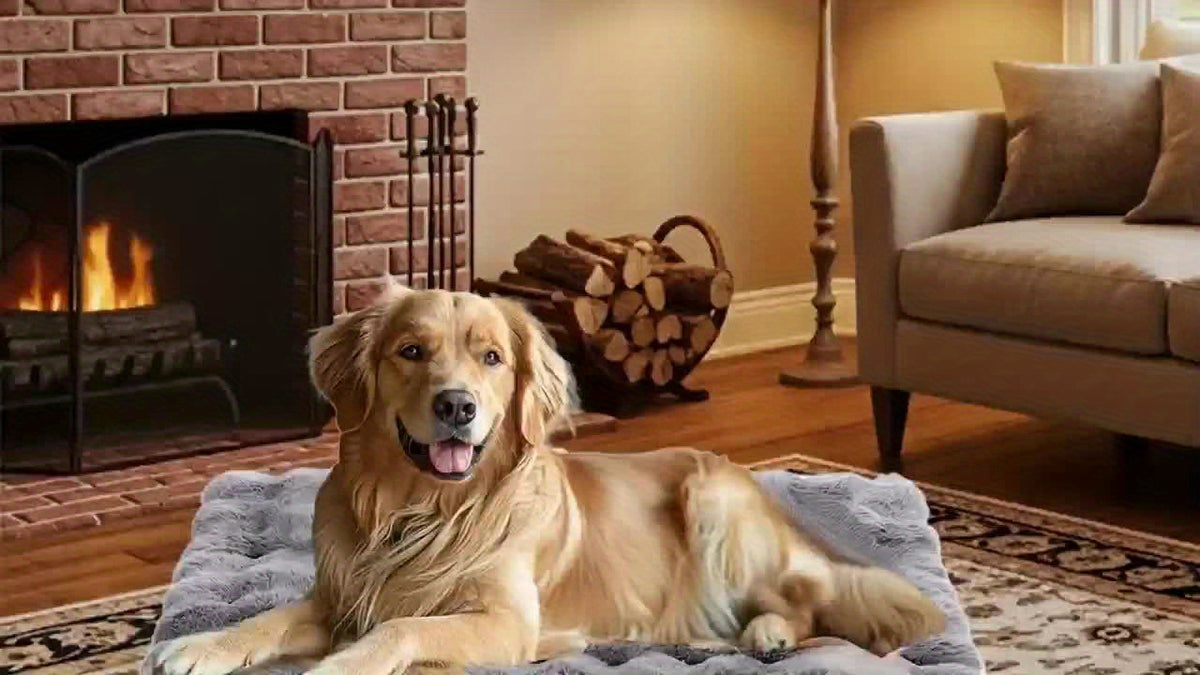 Faux Fur Dog Bed with Removable Washable Cover and Anti-Slip Bottom, Soft Fluffy Plush Sleeping Mat in Small to XXLarge Size Options