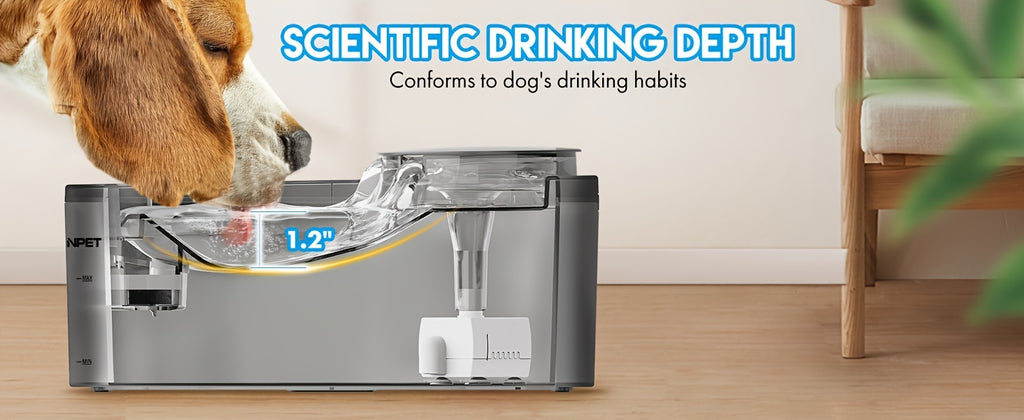 Dog Water Fountain with Splatter Guard, 5L or 8L Automatic Pet Drinking Dispenser for Multi-Pet Homes with Filter Bundle Options