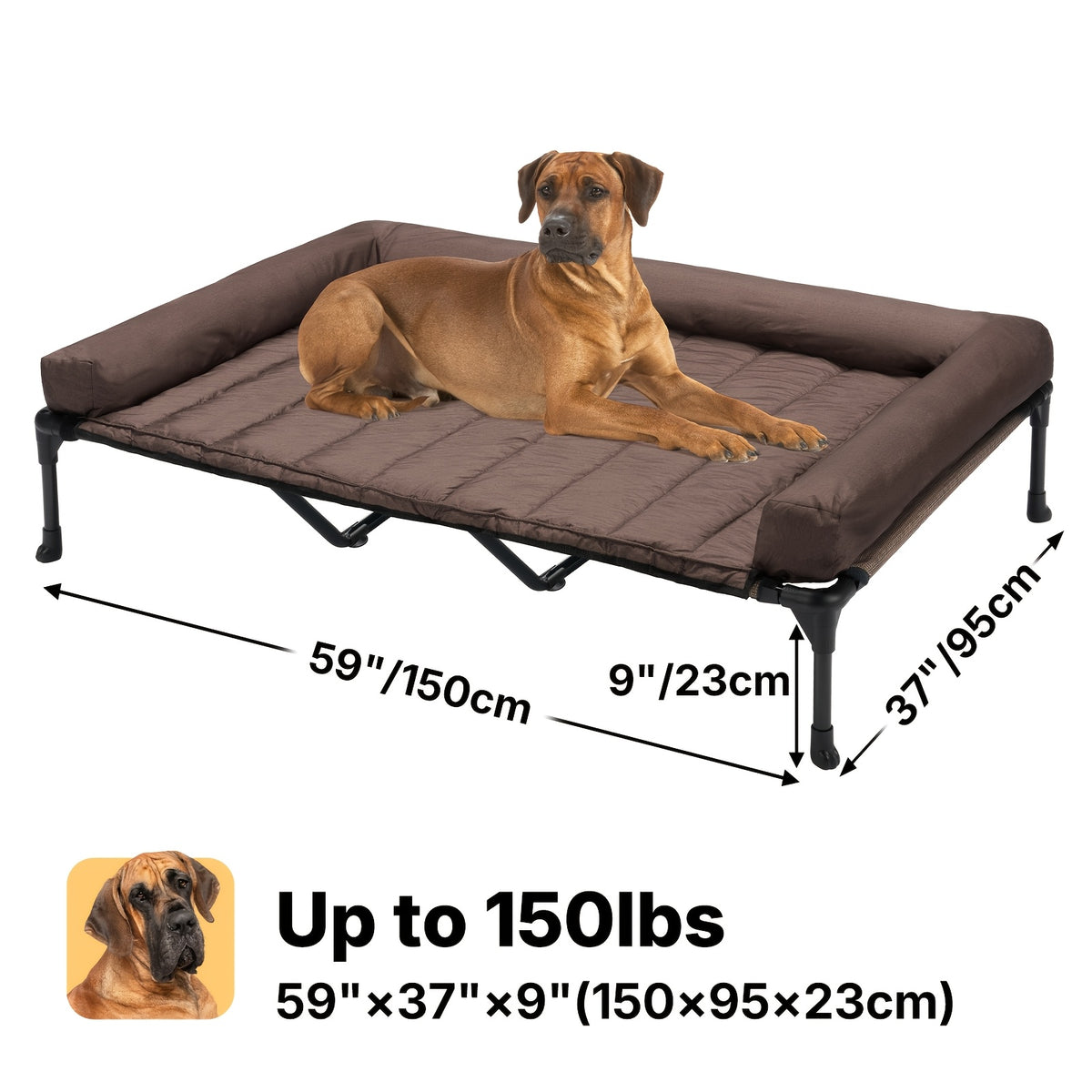 Elevated Dog Bed with Removable Pillow-Top Mat, Three-Sided Bolster Pet Cot with Breathable Teslin Mesh, Steel Frame and Non-Slip Feet in Four Sizes