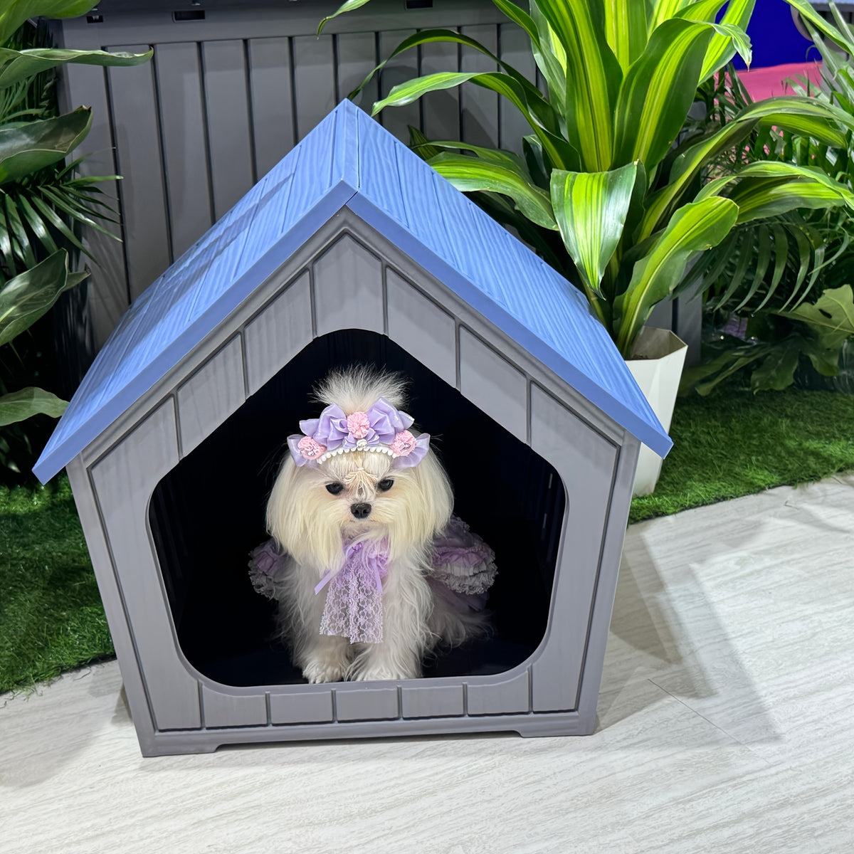 Resin Cat House with Raised Floor and Roof, XL Listed Pet Hideaway for Indoor and Sheltered Outdoor Rest, Blue or Light Brown, Assembly Required