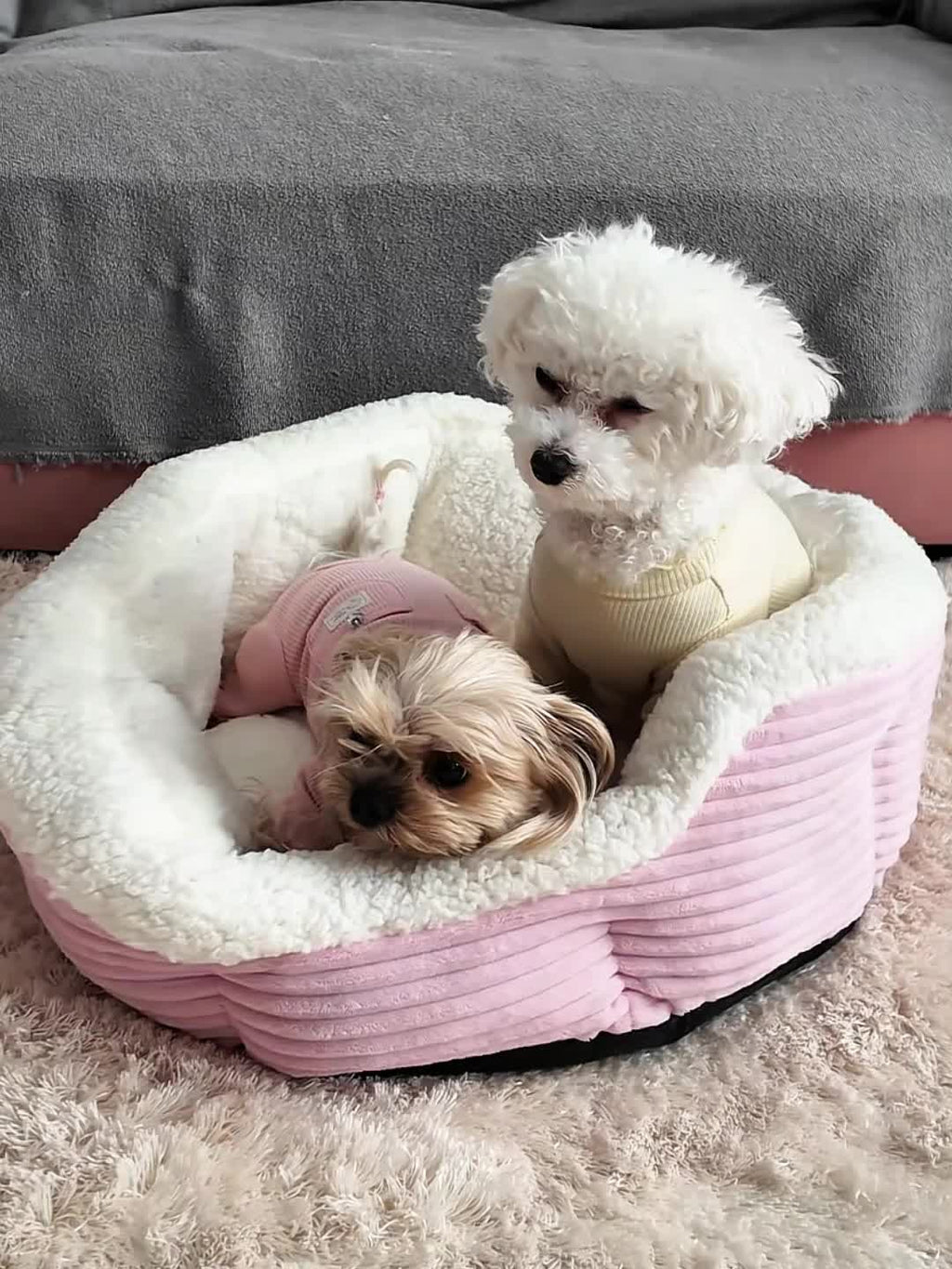 Machine Washable Pet Bed for Cats and Dogs, Thick Plush Winter Sleeping Cushion with Non-Slip Base, Pink or Gray in Round and Rectangle Options