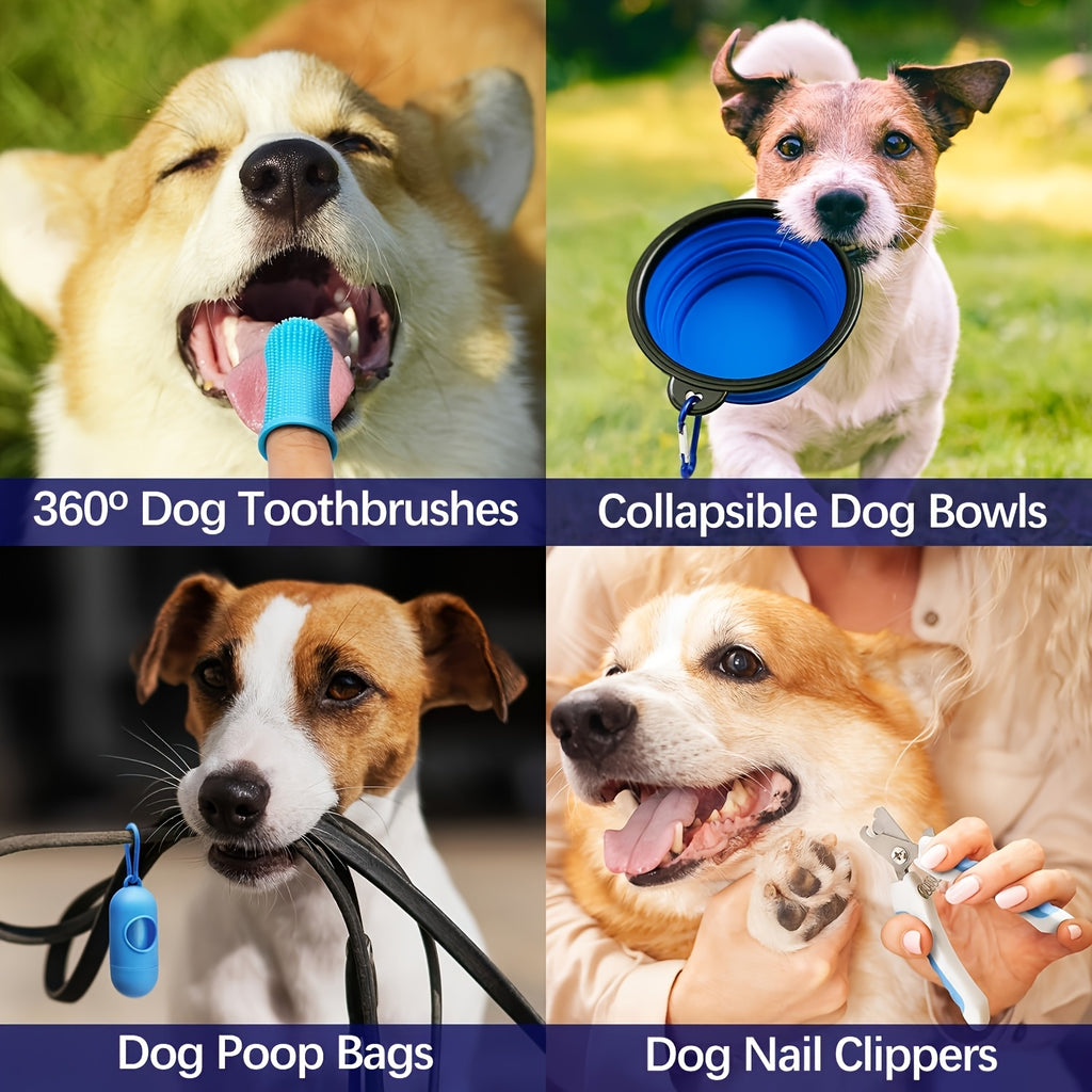 Puppy Toy Variety Pack for Small Dogs, Random 6, 12 or 19 Piece Assortment with Rope and Squeaky Toy Styles for Supervised Chew, Fetch and Tug Play