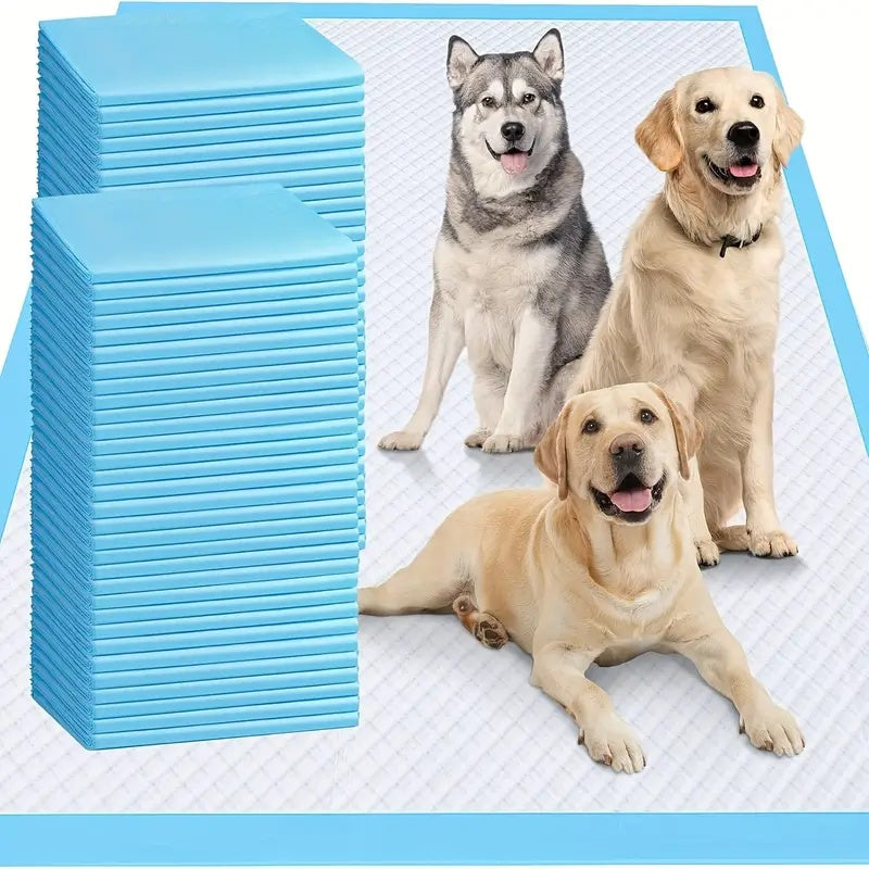 Disposable Dog Pee Pads 200 Count, 23.6 x 23.6 Inch Puppy Potty Training Pads with Absorbency and Odor Control for Everyday Pet Care