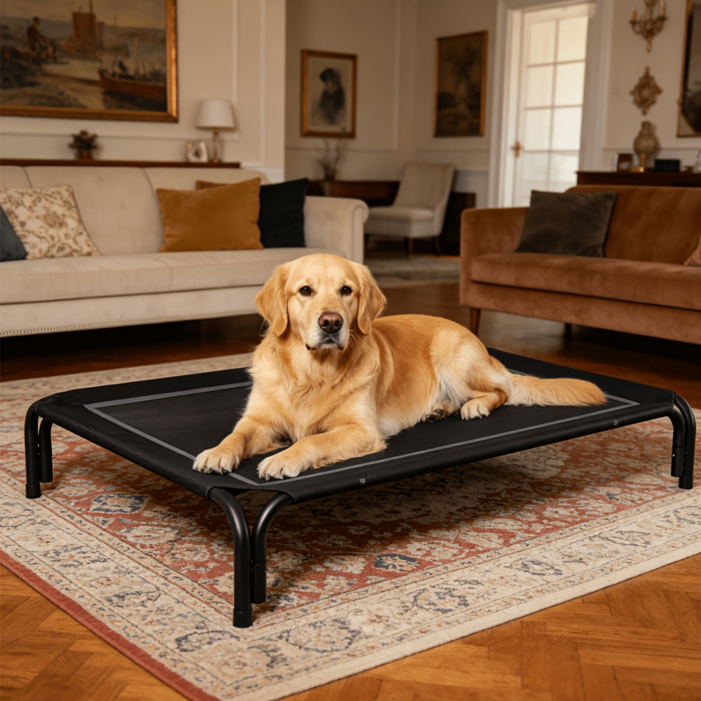 Tool-Free Elevated Dog Bed with Washable Breathable Mesh, 8-Inch Raised Outdoor Dog Cot with Metal Frame and Anti-Slip Feet for Home, Patio and Camping