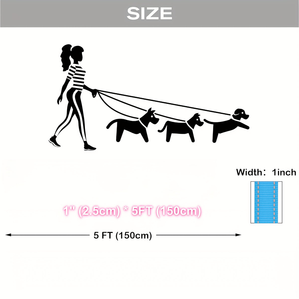 5 Foot Reflective Dog Leash with Padded Handle, 1 Inch Wide Flat Walking Lead for Medium and Large Dogs, Daily Walks and Training in Six Colors