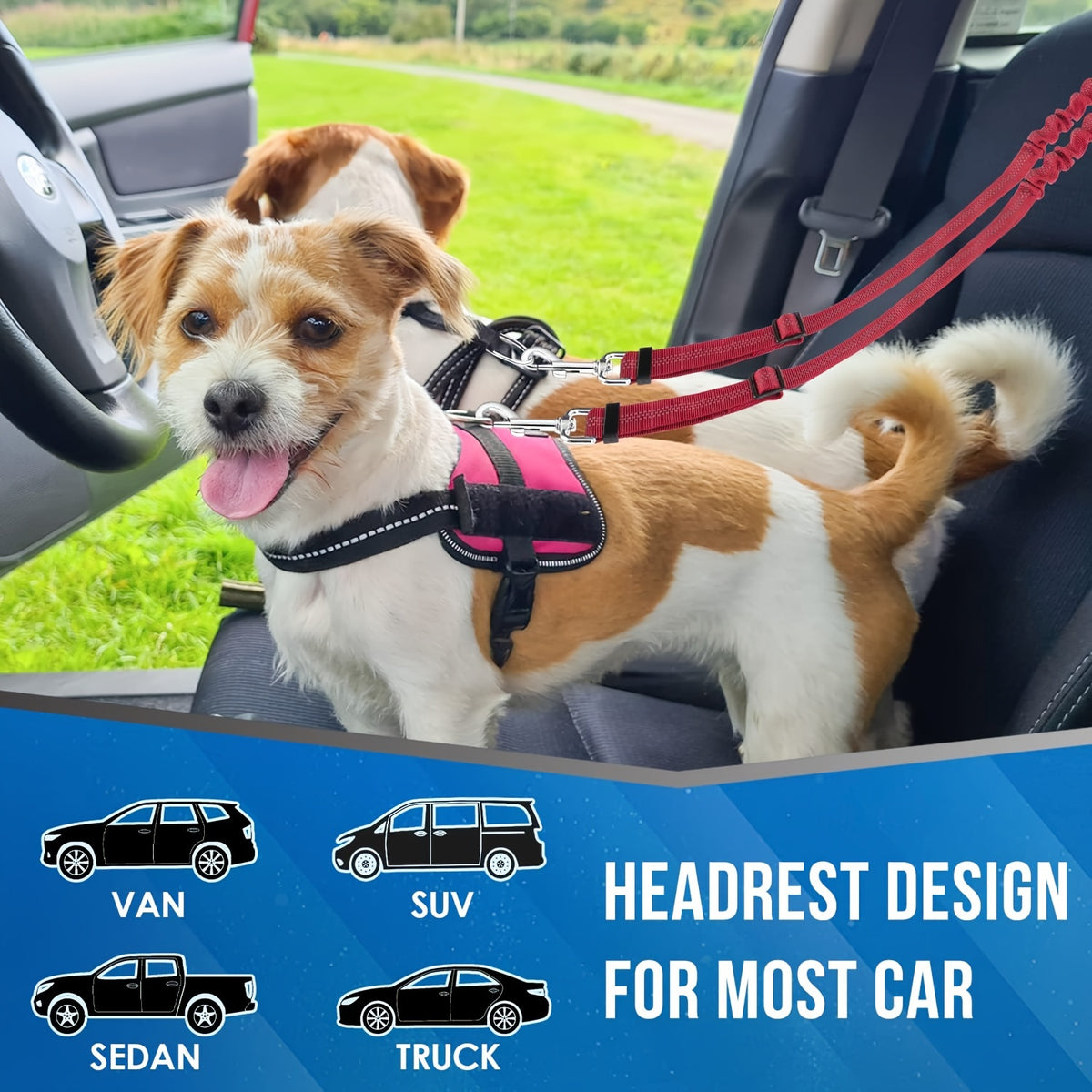 Dual Dog Car Seat Belt with Adjustable Headrest Loop, Two Bungee Tether Straps and Metal Clips for Two-Dog Travel in Red, Rose Red or Black