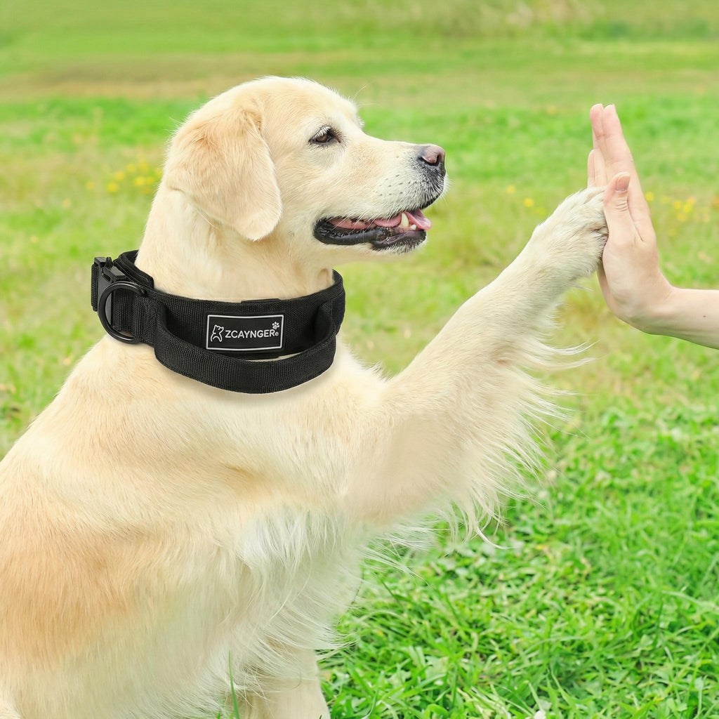 Tactical Dog Collar with Padded Lining and Side Control Handle, Black or Pink Camouflage Buckle Collar for Medium and Large Dogs, M L XL, Walking and Training