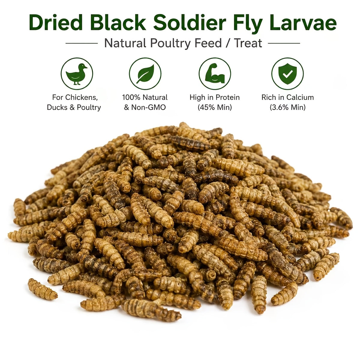 Chicken Grub Treats, Dried Black Soldier Fly Larvae in 5.5 lb or 11 lb Packs for Backyard Hens, Ducks and Wild Birds, Supplemental Foraging Snacks