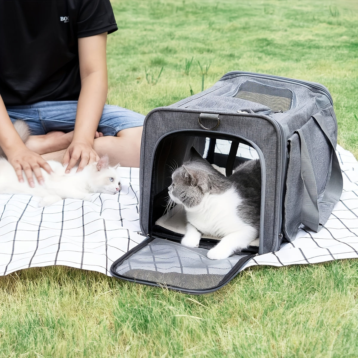 Pink Foldable Pet Carrier for Cats and Puppies, Breathable Soft-Sided Travel Bag with Pet Straps for Vet Visits, Short Trips and Everyday Outings