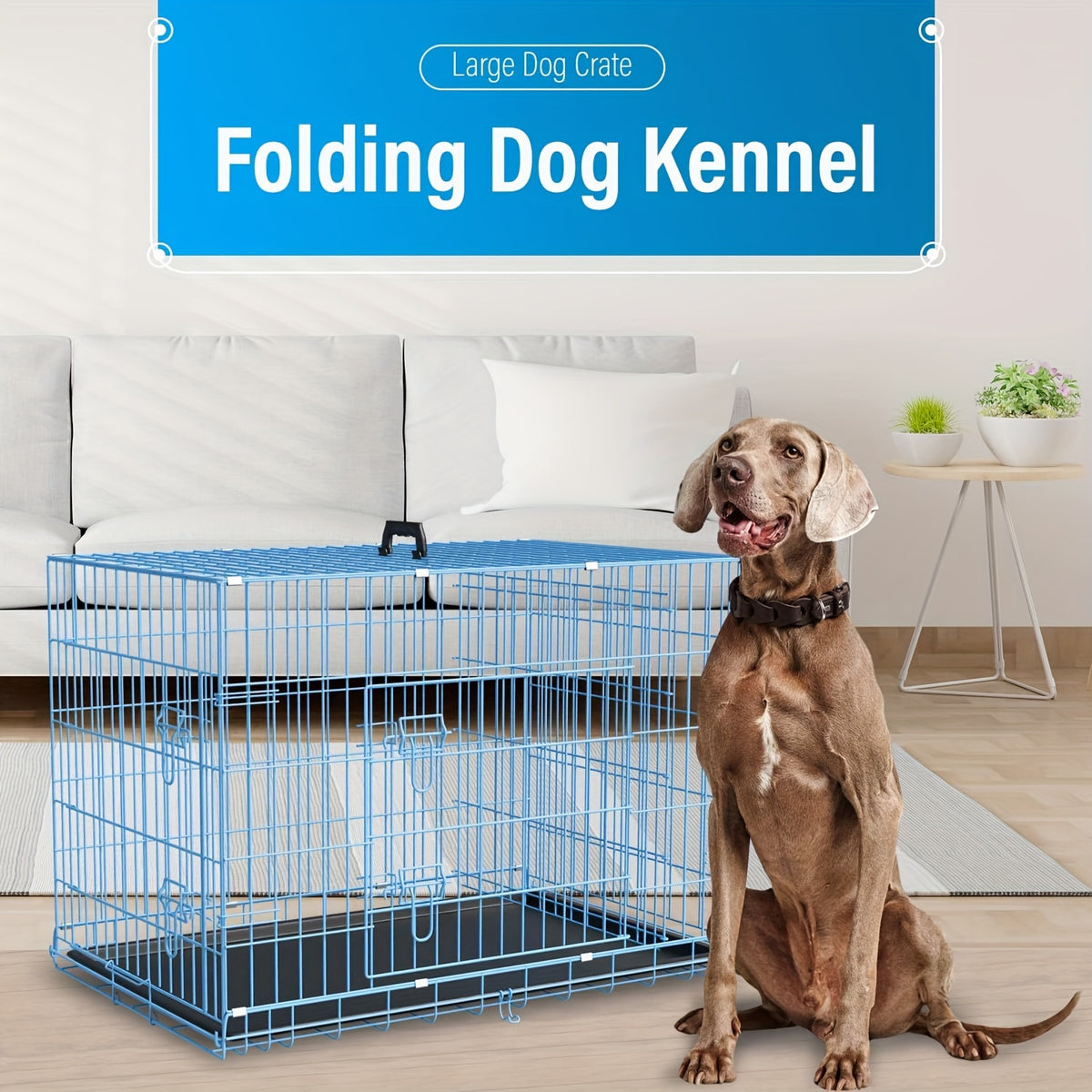 Dog Crate 42 or 48 Inch with Double Doors, Folding Metal Wire Kennel with Divider and Removable Leak-Proof Tray in Black, Blue or Pink for Home Training