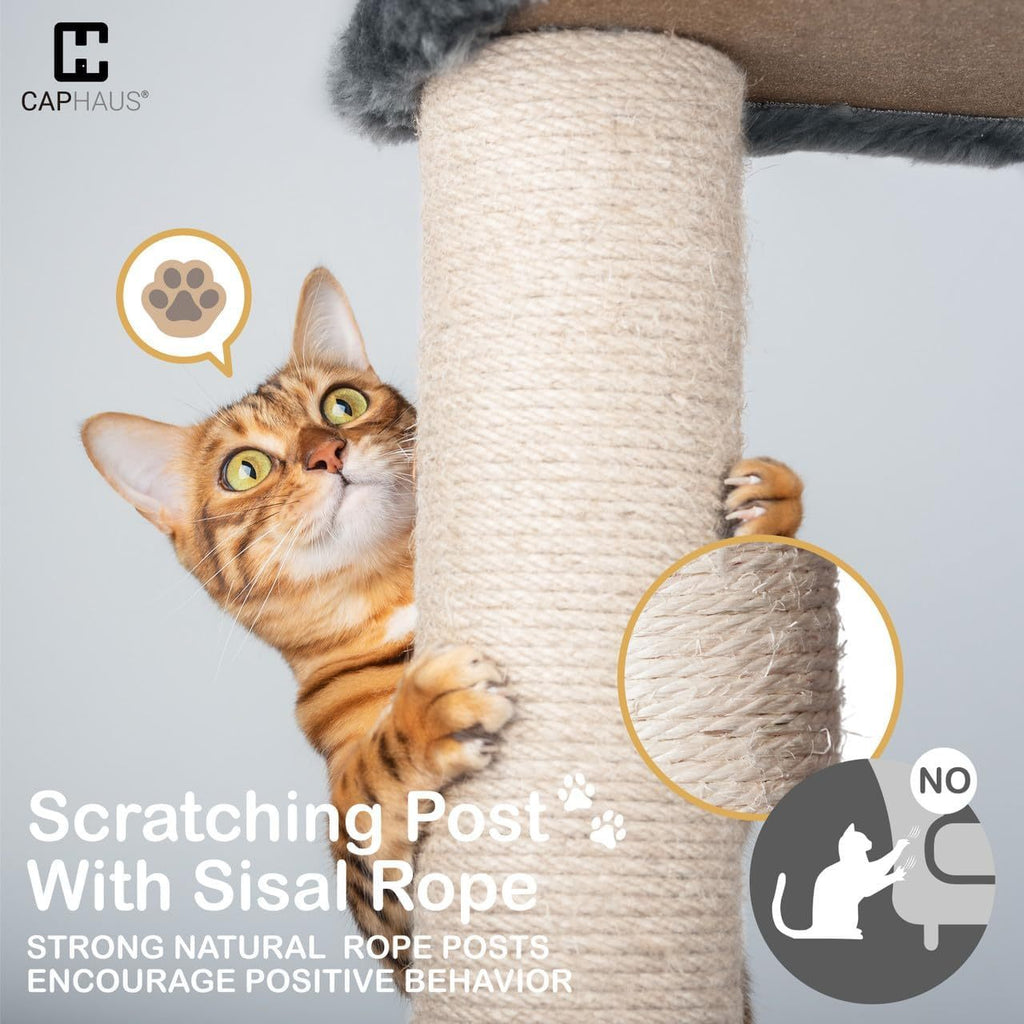 Cat Tree for Large Indoor Cats, 74 Inch Multi-Level Tower with Widened Perch, Sisal Scratching Posts, Tunnel, Basket, Condo and Wand Toy, Smoky Grey