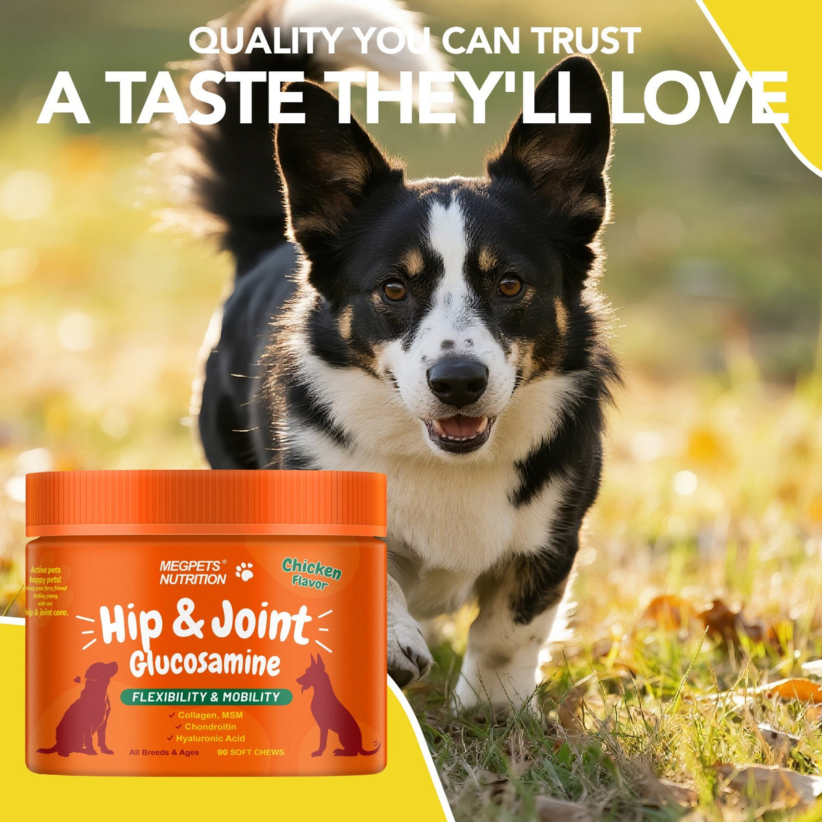 Joint Care Soft Chews for Dogs and Cats, Chicken Flavor with Glucosamine, Chondroitin and Alaskan Salmon Oil, 90 Count, Bottle Options