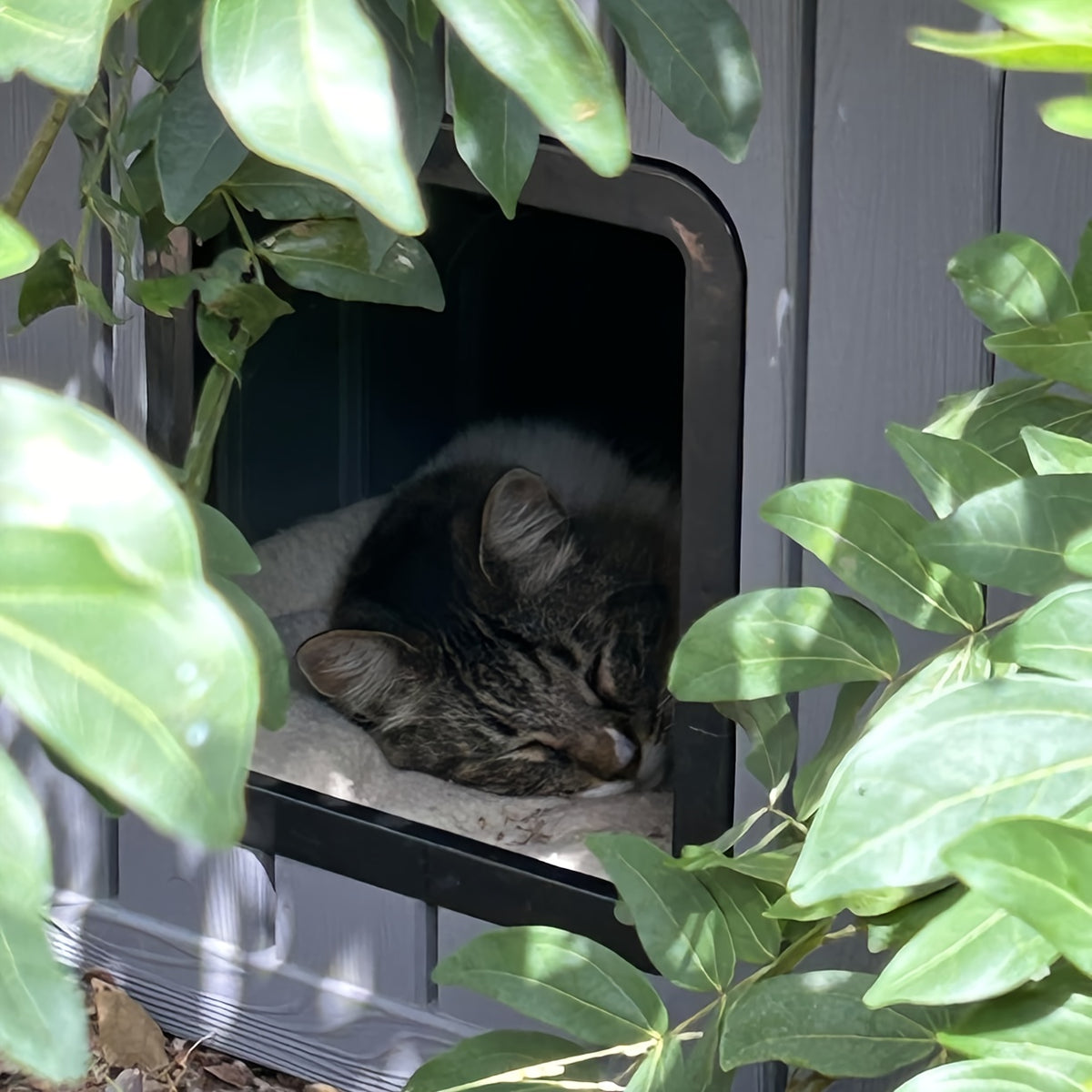 Roofed Outdoor Cat Shelter in Grey, Cozy Pet Resting House for Covered Porches and Secure Balconies, Dedicated Cat Hideaway for Everyday Rest