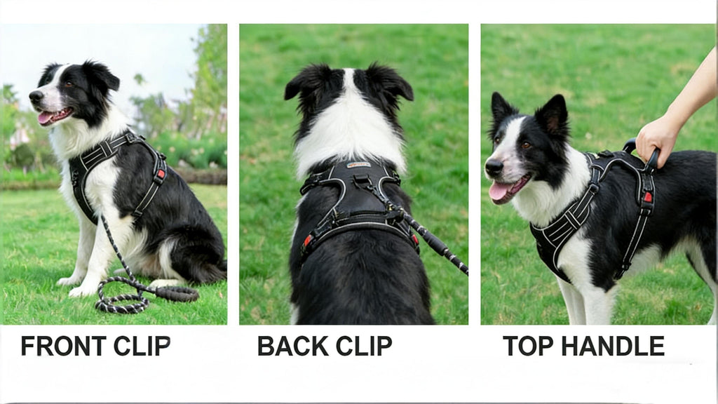 Dog Harness and 5ft Leash Bundle, Adjustable Reflective Walking Vest in Black, Blue or Red, S-XL Sizes for Everyday Walks and Training