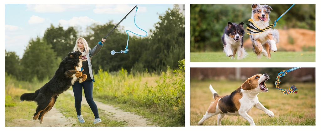 Dog Flirt Pole with Extendable Aluminum Alloy Wand and Detachable Lure, Interactive Chase Toy for Exercise and Obedience Training