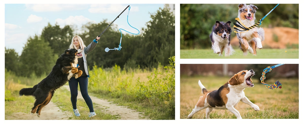Dog Flirt Pole with Extendable Aluminum Alloy Wand and Detachable Lure, Interactive Chase Toy for Exercise and Obedience Training