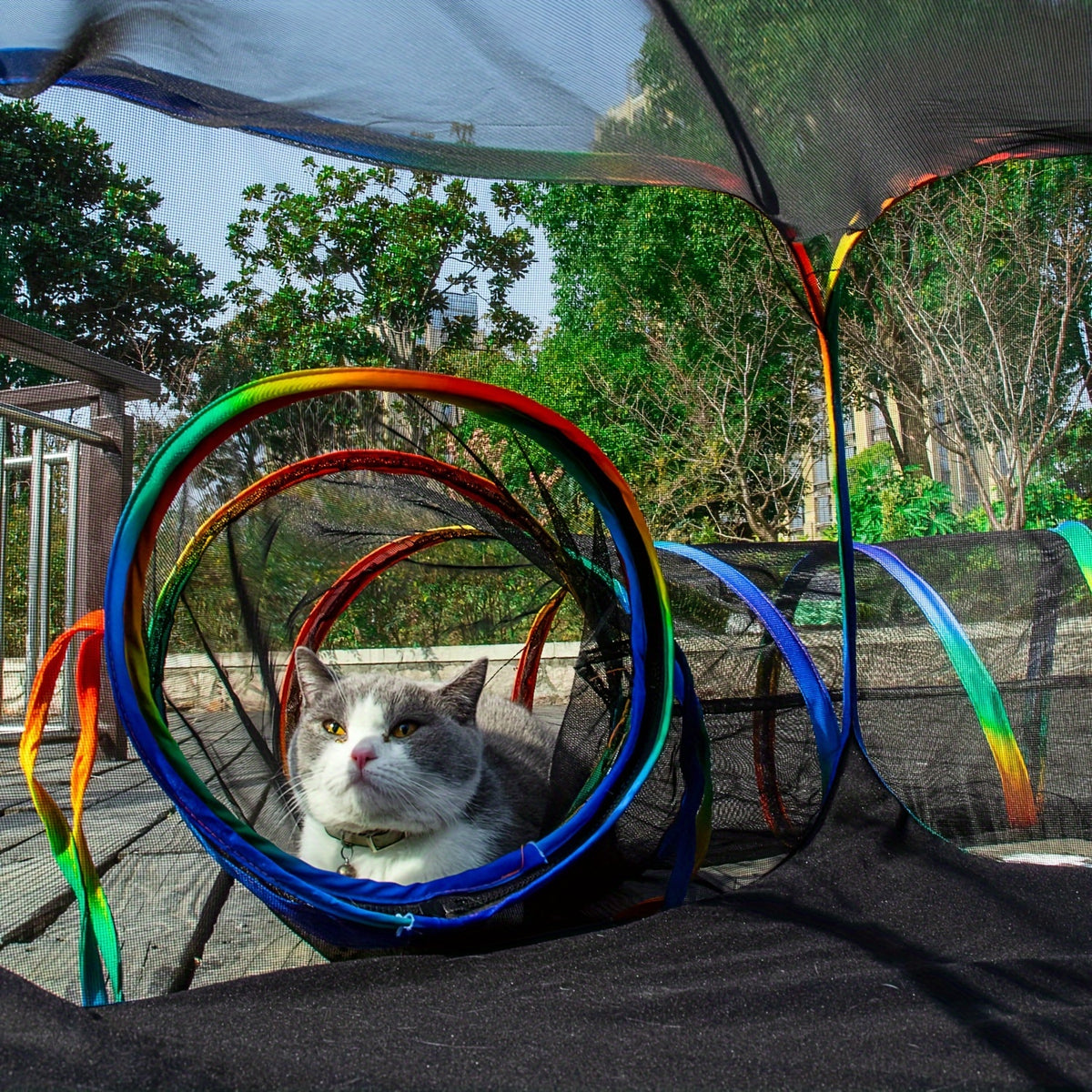 Outdoor Cat Enclosure with Play Tunnel, Portable Mesh Catio Tent with Rainbow Trim for Indoor Cats and Supervised Backyard Exploration