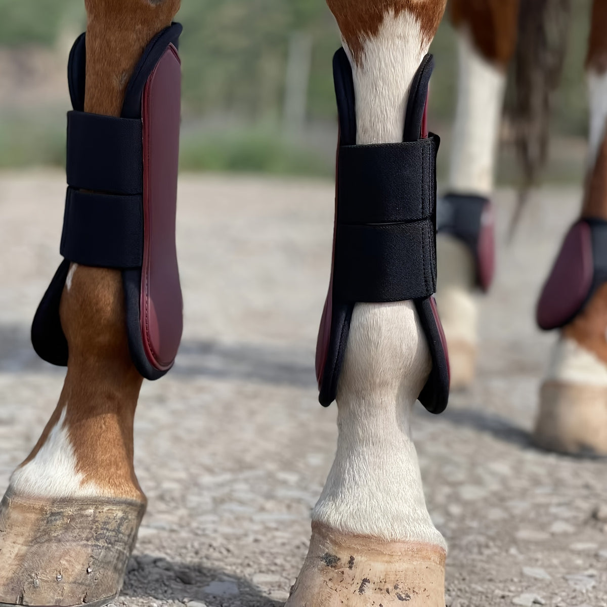 Horse Tendon Boots Set of 4, Open Front and Fetlock Leg Guards in PU and Neoprene for Riding, Jumping and Training, FULL and COB Size Options