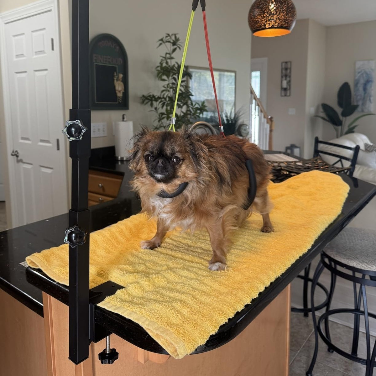Dog Grooming Arm with Clamp, Adjustable 36-Inch Iron Three-Section Stand with No-Sit Haunch Holder and Ropes for Small and Medium Dogs and Cats