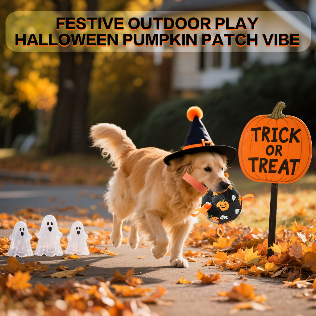 Halloween Dog Ball with Pumpkin and Ghost Print, Black Soccer-Style Fetch Toy with Orange Grab Straps, Pump and Needle for Supervised Outdoor Play