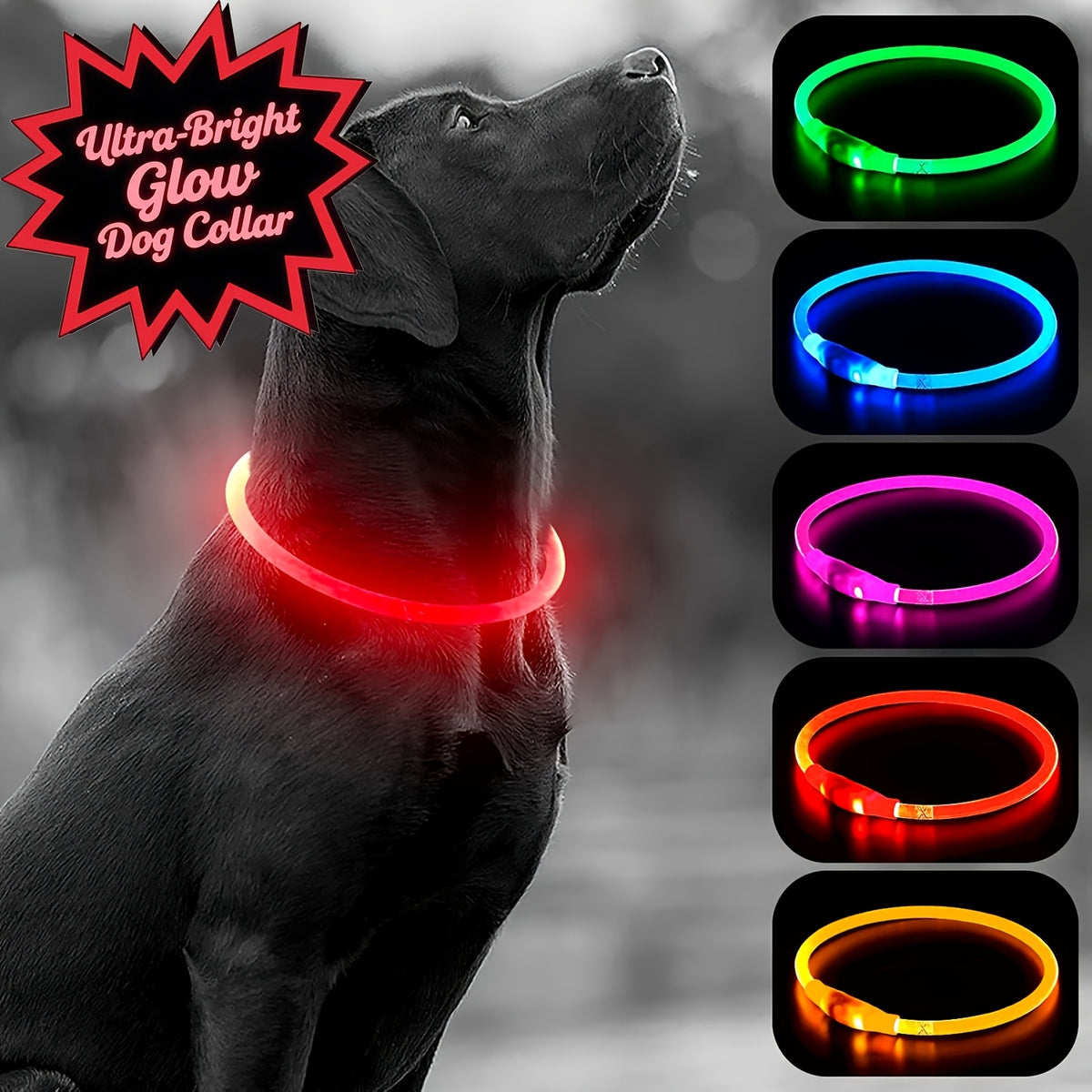 Rechargeable LED Dog Collar with Cut-to-Fit Glow Tube, 3-Mode Light Up Neck Ring for Night Walking and Running, Single and Multi-Pack Color Options