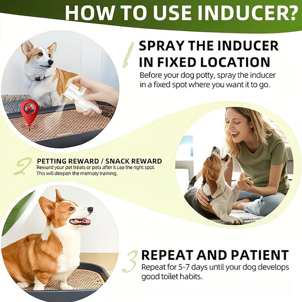 Pet Potty Training Spray for Indoor Puppy and Kitten House Training, Toilet Routine Support for New Pet Owners with 1 or 2 Piece Options