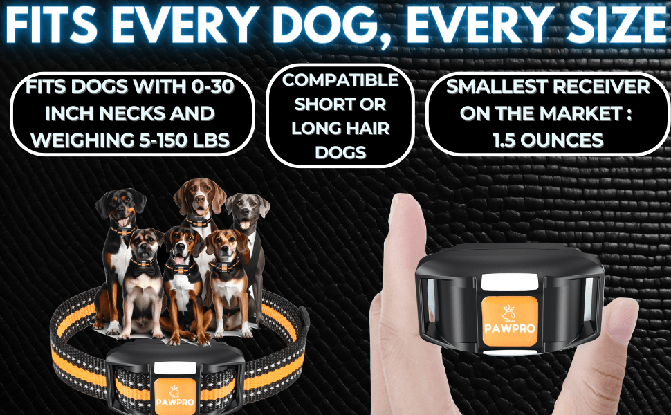 Long Range Dog Training Collar with Remote, PAWPRO Listed 4-Mile Range, 124 Adjustable Levels, Beep, Vibration, Static and Night-Light Modes