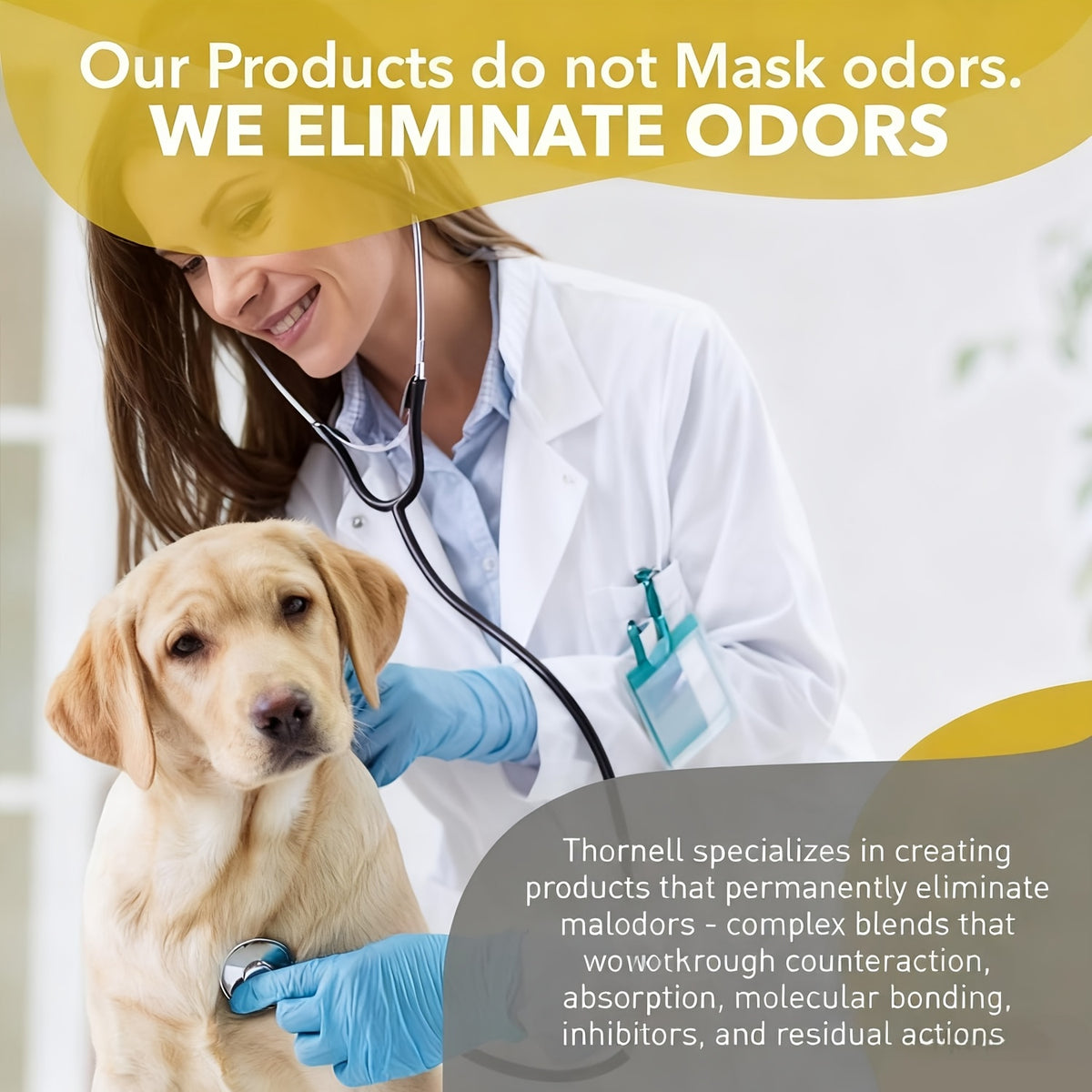 Pet Odor Eliminator Spray 16 oz, Non-Enzymatic Deodorizer for Dog and Cat Areas, Home and Kennel Use with Single Bottle and Bundle Options