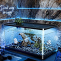 Transparent Fish Tank with Top Lid, 15.35 x 8.66 x 8.46 Inch Rectangular Aquarium for Home, Office and Classroom Aquatic Displays