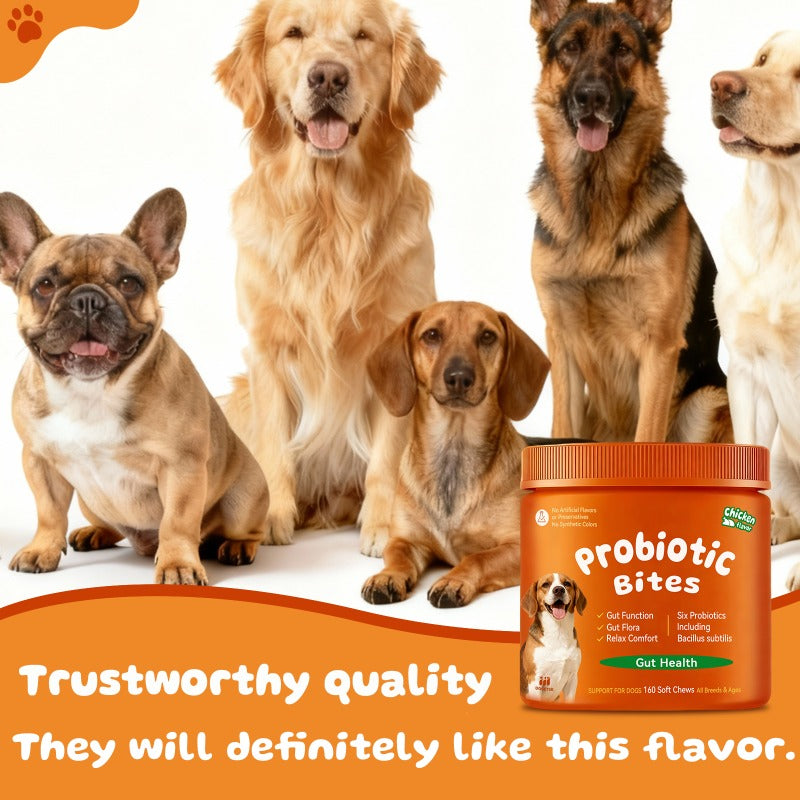 Pumpkin Flavor Dog Probiotics, Soft Chewable Tablets for Daily Digestive Health and Gut Flora Support, 160 or 320 Count Options