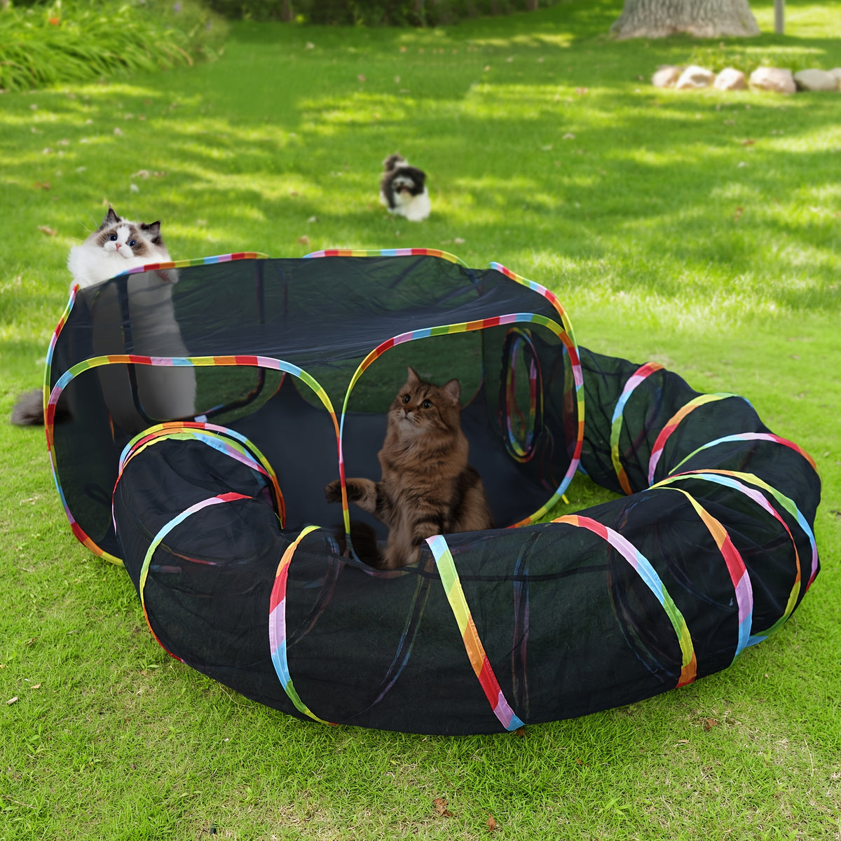 Cat Tent and Tunnel Set, Rainbow Portable Outdoor Cat Playpen with Circle Tunnel for Supervised Backyard Exploration and Everyday Play