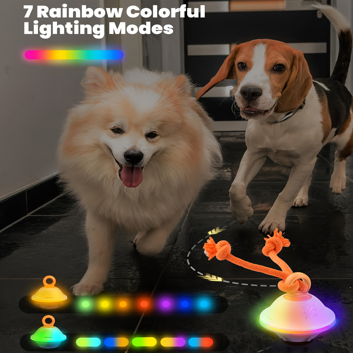 Automatic Rolling Dog Ball with Voice Recording and Rope, Interactive Moving Puppy Toy for Small and Medium Dogs, Supervised Chase Play