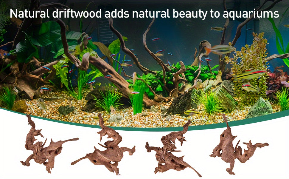 Small Aquarium Driftwood 5 Pack, 4-8 Inch Assorted Natural Wood Branches for Fish Tank Aquascaping, Reptile Terrarium Decor and Custom Habitat Layouts