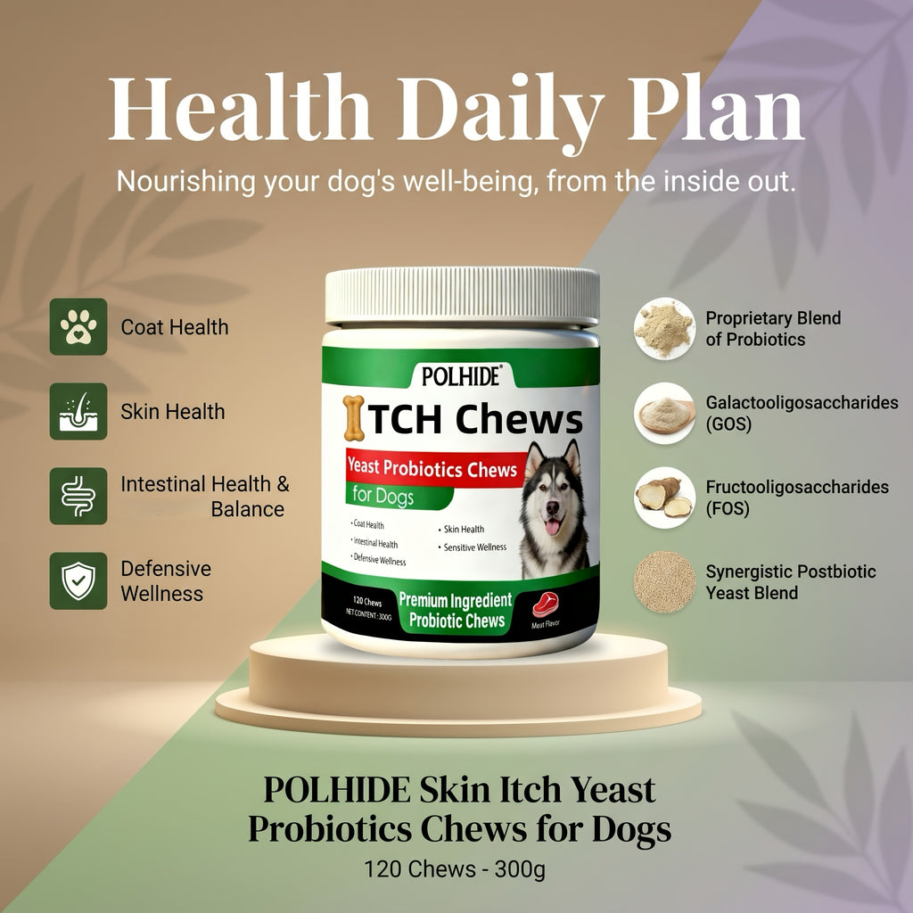 Heart-Shaped Dog Probiotic Chews, 120 Count Meat Flavor Yeast Soft Chews for Everyday Canine Nutritional Supplement and Wellness Routines
