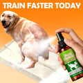 Pet Potty Training Spray for Indoor Puppy and Kitten House Training, Toilet Routine Support for New Pet Owners with 1 or 2 Piece Options