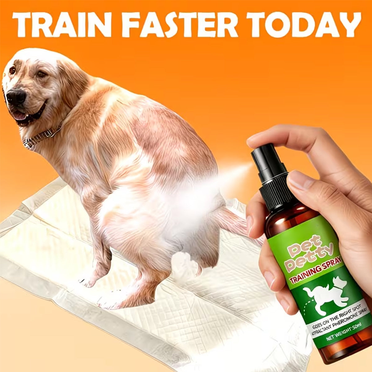 Pet Potty Training Spray for Indoor Puppy and Kitten House Training, Toilet Routine Support for New Pet Owners with 1 or 2 Piece Options