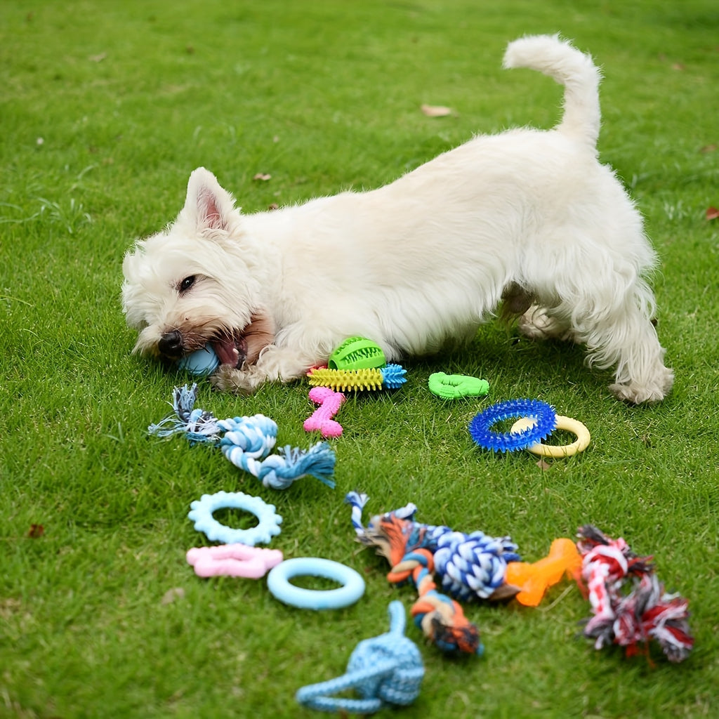 Puppy Chew Toy Variety Pack, Random 5 or 8 Piece Small Dog Toy Bundle for Supervised Teething Play, Interactive Indoor Games and New Puppy Gifts