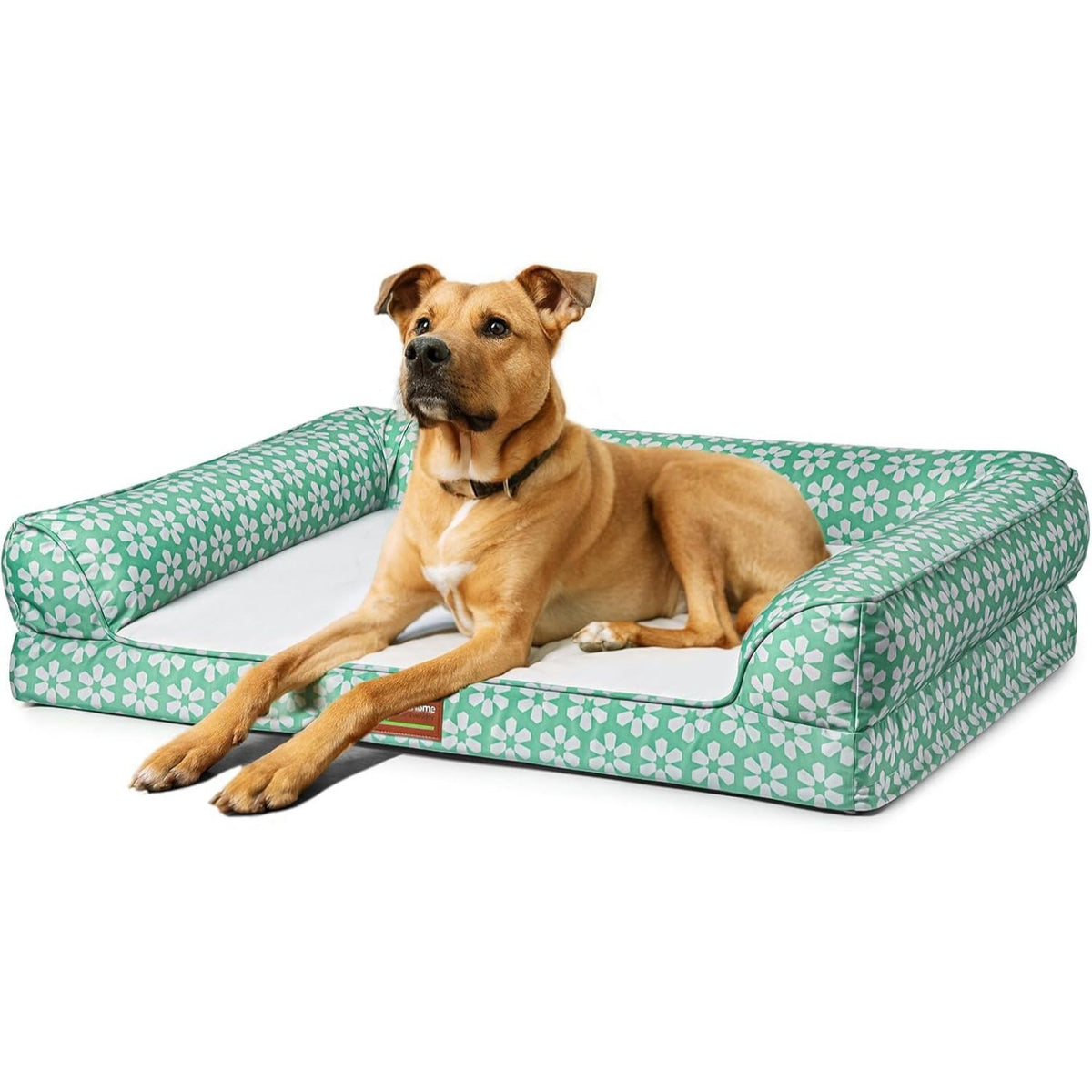 Dog Bed with Removable Bolsters, Egg Crate Foam Pet Sofa with Machine Washable Cover and Non-Slip Bottom, M L XL Sizes in Three Color Options