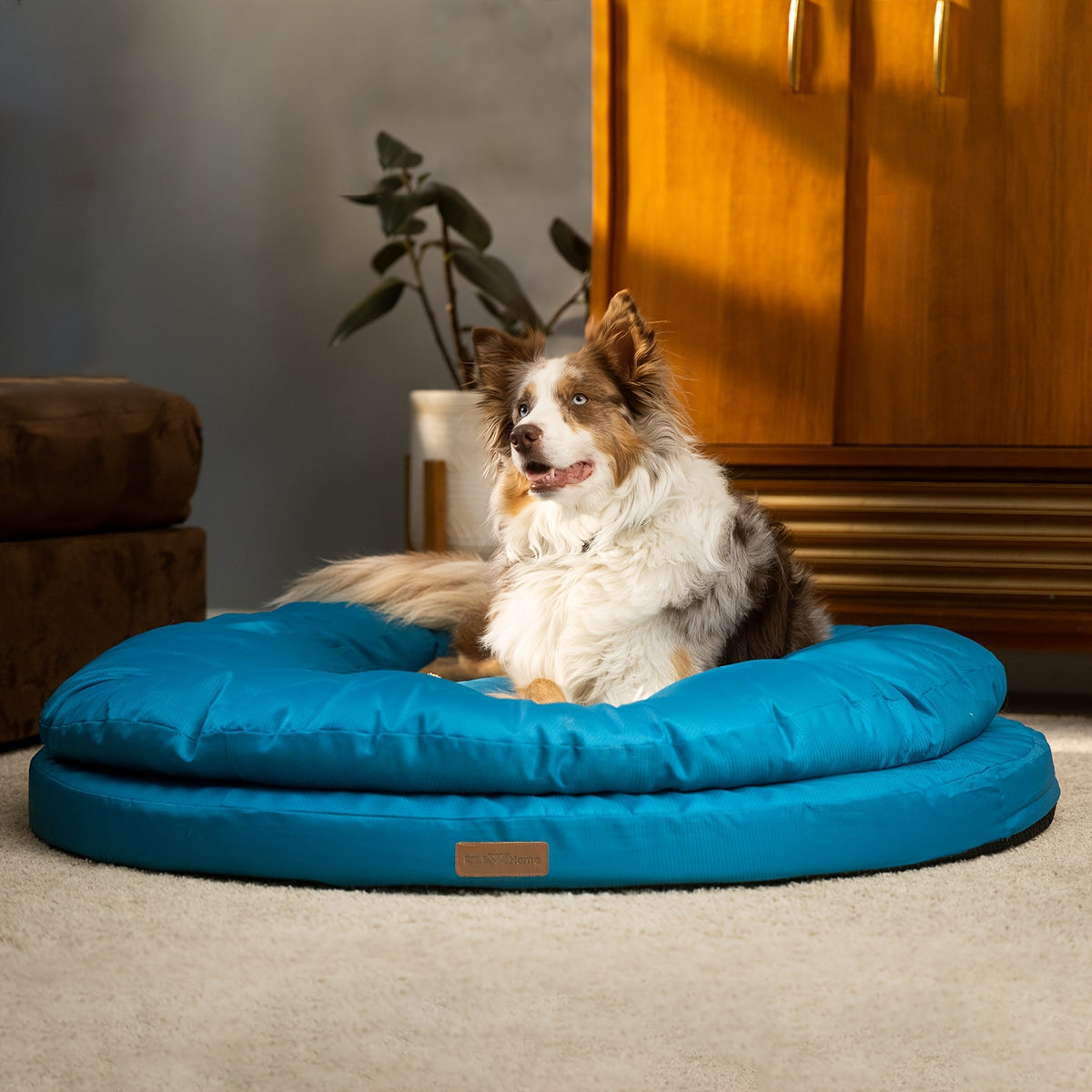 Round Orthopedic Dog Bed for Large Dogs, Dual-Layer Pet Lounger with Washable Cover and Non-Slip Bottom, 36 or 42 Inch in Two Colors